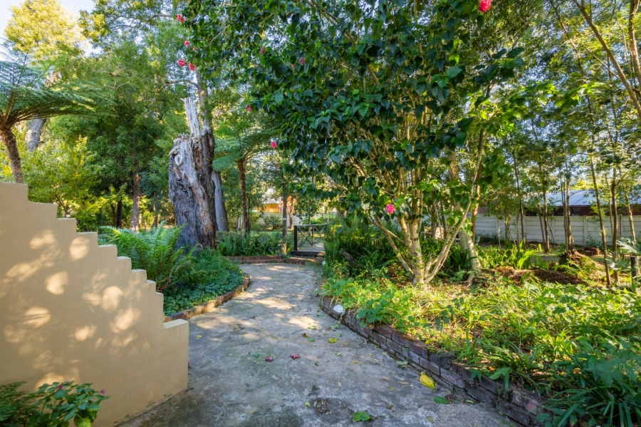 10 Bedroom Property for Sale in Storms River Village Eastern Cape